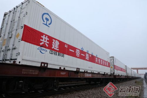 中老铁路国际货运冷链列车开行