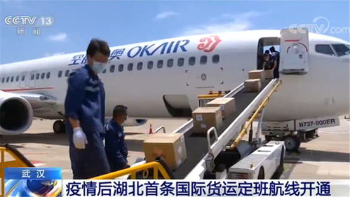 武汉 疫情后湖北首条国际货运定班航线开通 助力湖北复工复产